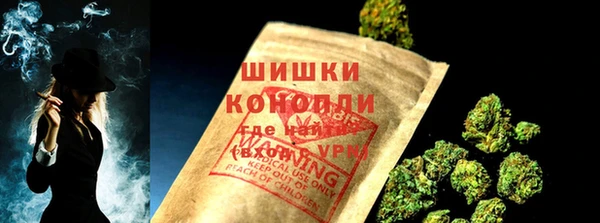 МДПВ Волоколамск
