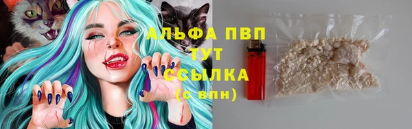 МДПВ Волоколамск