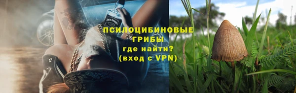 МДПВ Волоколамск