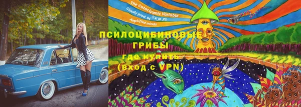 МДПВ Волоколамск