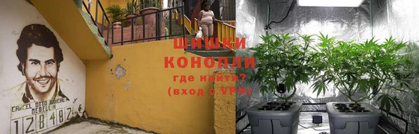 МДПВ Волоколамск